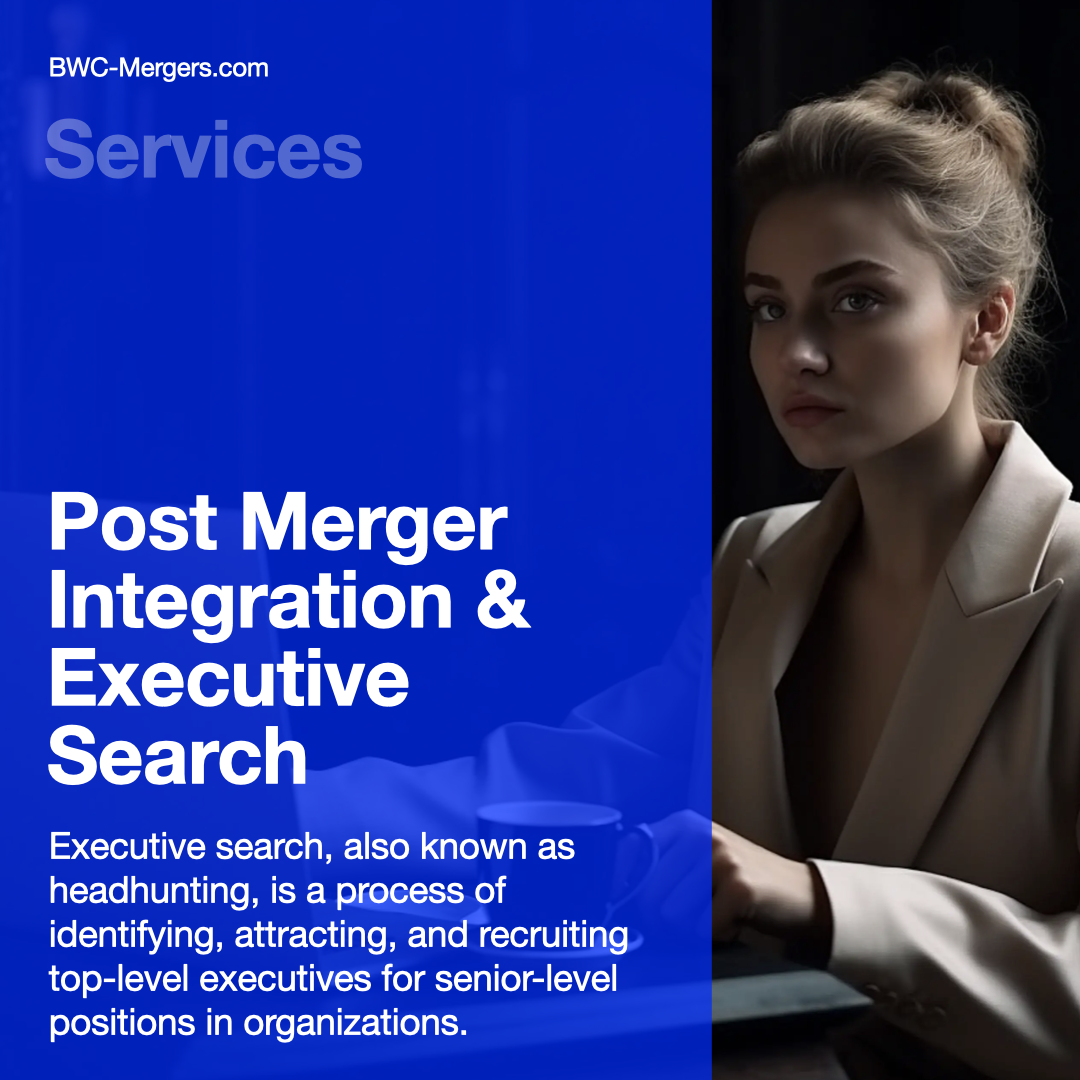Post Merger Integration & Executive Search